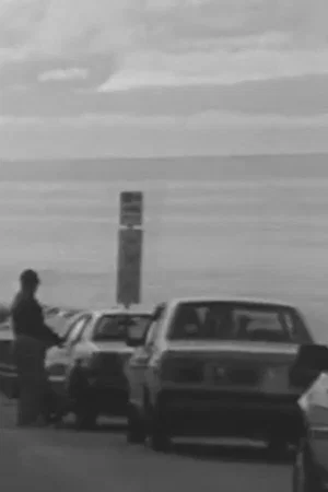 Постер: Four or Five Accidents, One June...