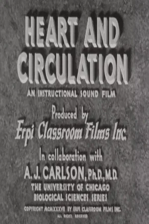Постер: Heart and Circulation