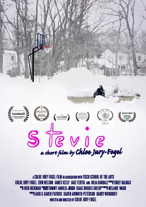 Постер: Stevie