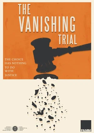 Постер: The Vanishing Trial