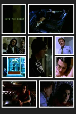 Постер: Into the Night