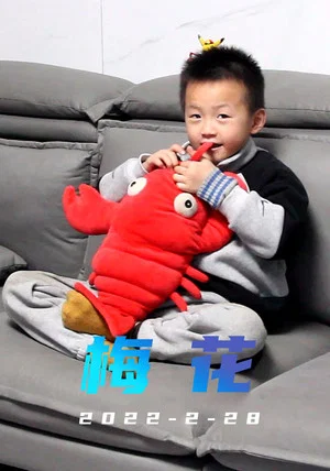 Постер: 梅花
