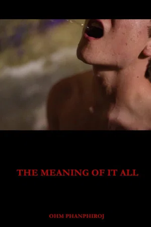 Постер: The Meaning of It All