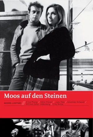 Постер: Moos auf den Steinen