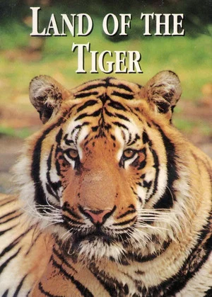 Постер: National Geographic: Land of the Tiger