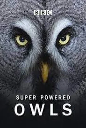Постер: Super Powered Owls