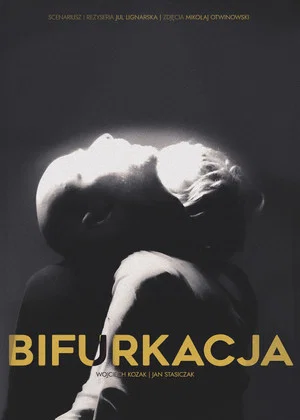 Постер: Bifurcation