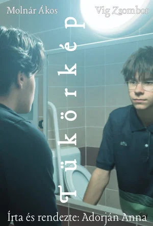 Постер: Reflection
