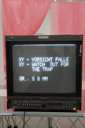 Постер: XY - Vorsicht Falle