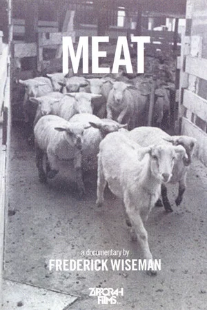 Постер: Meat