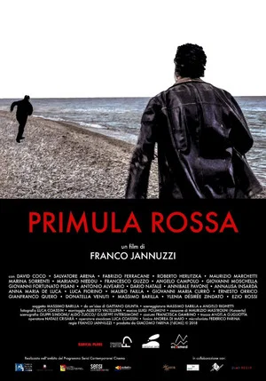 Постер: Primula Rossa