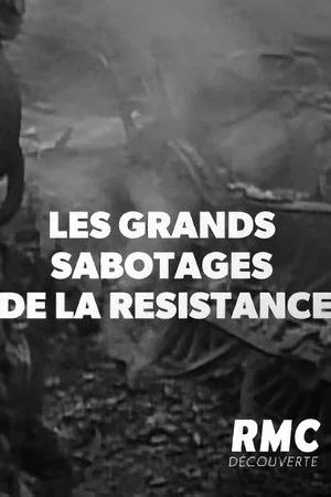 Постер: Les Grands sabotages de la résistance