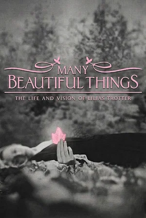 Постер: Many Beautiful Things