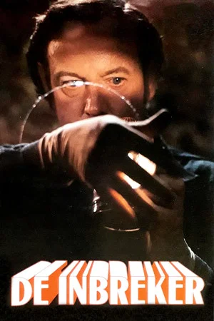 Постер: The Burglar