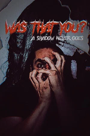 Постер: Was That You ?