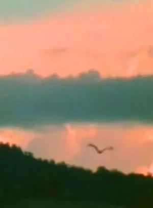 Постер: The Sun Harp
