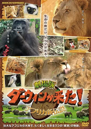 Постер: Darwin is here! new african legend