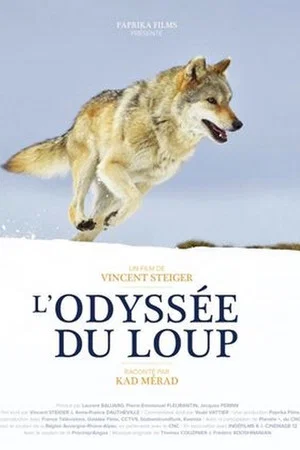 Постер: L'odyssée du loup : secrets de tournage
