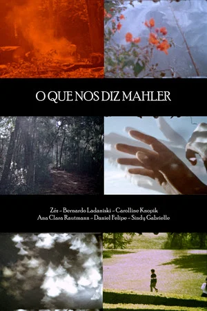 Постер: What Mahler Tells Us