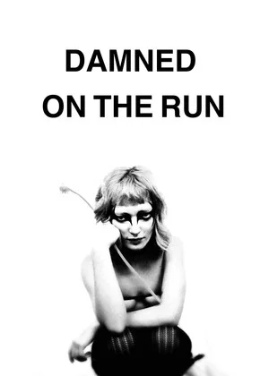 Постер: Damned on the run