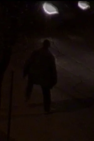 Постер: Una fredda giornata