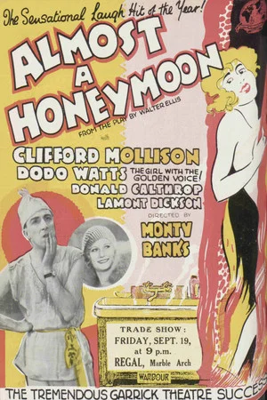 Постер: Almost a Honeymoon