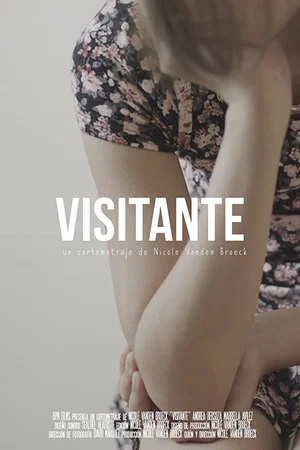 Постер: Visitante