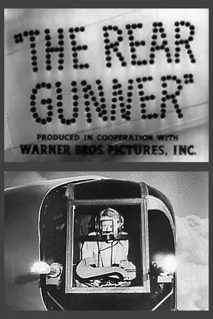 Постер: The Rear Gunner