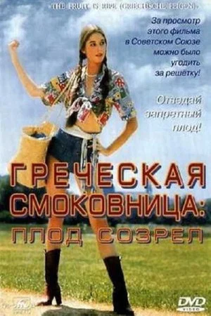 Постер: Греческая смоковница