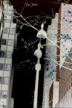 Постер: City Foliage