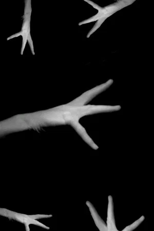 Постер: Phantom Hand
