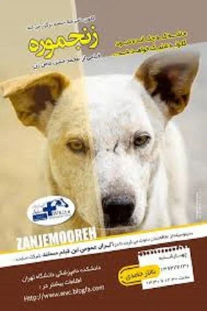 Постер: Zanjmoore