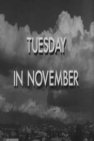 Постер: Tuesday in November
