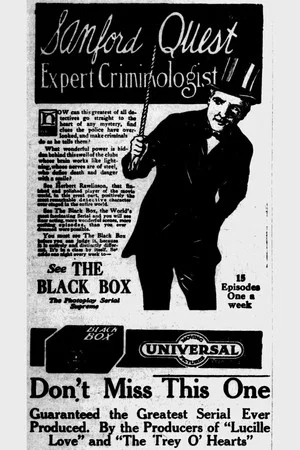 Постер: The Black Box