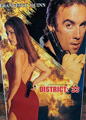 Постер: District:33