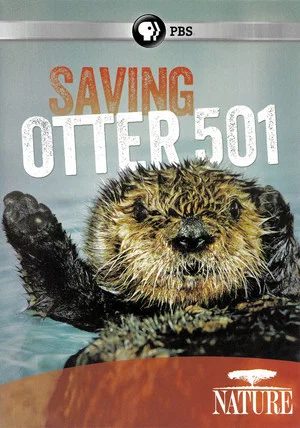 Постер: Saving Otter 501