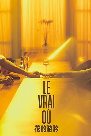 Постер: Le Vrai Où