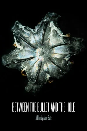 Постер: Between the Bullet and the Hole