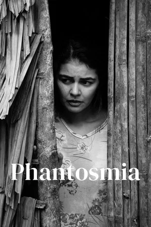 Постер: Phantosmia