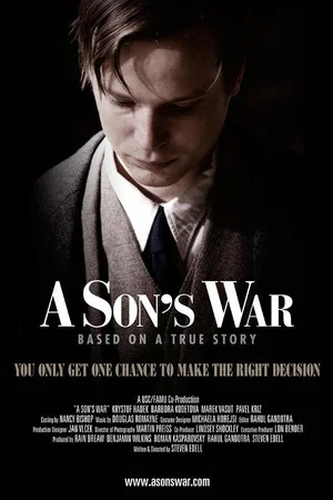 Постер: A Son's War