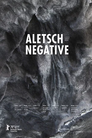 Постер: Aletsch Negative