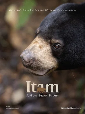 Постер: Itam: A Sun Bear Story