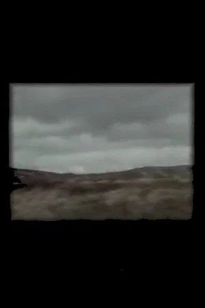 Постер: Stravaig / Errance
