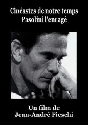 Постер: Pasolini l'Enragé