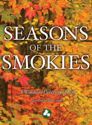 Постер: Smoky Mountain Explorer - Seasons of the Smokies