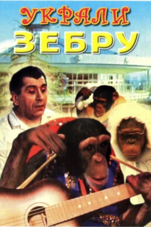 Постер: Украли зебру