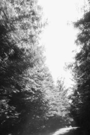 Постер: Parallel North