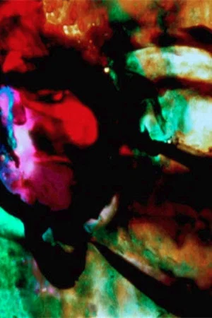 Постер: The Lion and the Zebra Make God's Raw Jewels