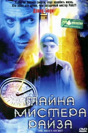 Постер: Тайна мистера Райза