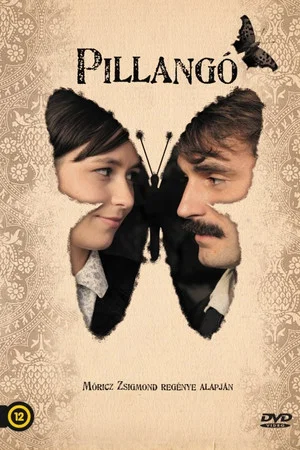 Постер: Pillangó